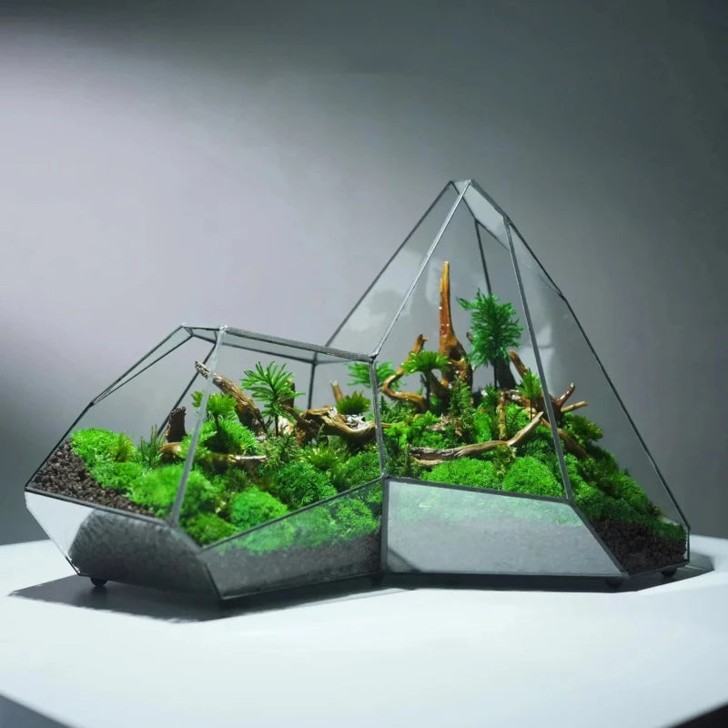 Micro Landscape Planter Moss Rainforest